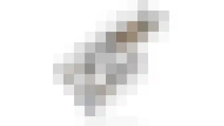 Joannes Antonides van der Goeskade 12 08 Goes thumbnail 32