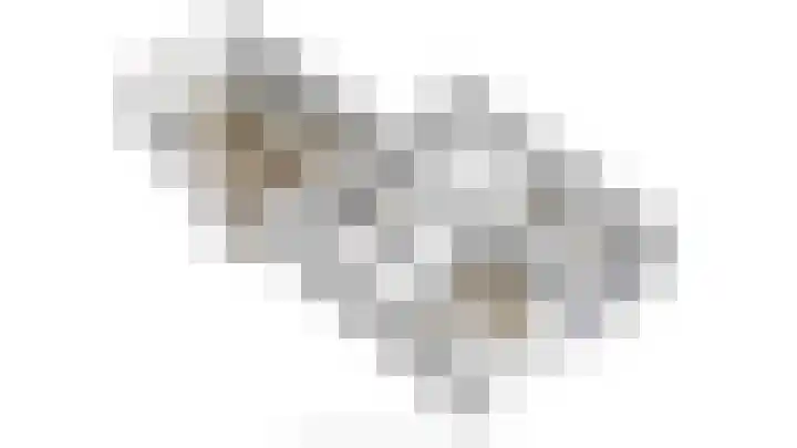 Joannes Antonides van der Goeskade 12 08 Goes thumbnail 33