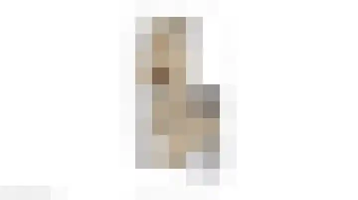 Joannes Antonides van der Goeskade 12 08 Goes thumbnail 34