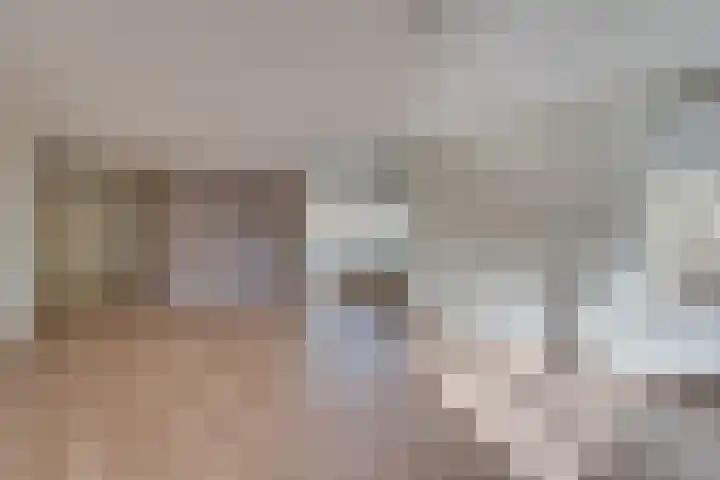 Joannes Antonides van der Goeskade 12 08 Goes thumbnail 8