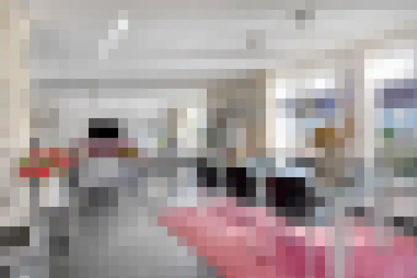 Joannes Antonides van der Goeskade 14 02 Goes thumbnail 7