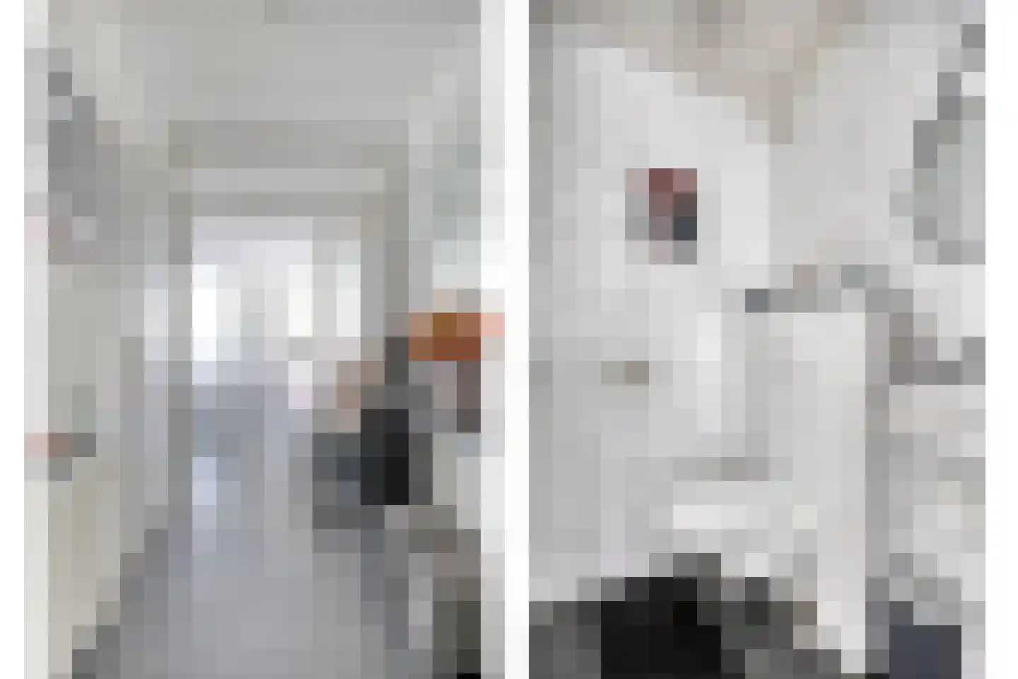 Joannes Antonides van der Goeskade 14 07 Goes thumbnail 4