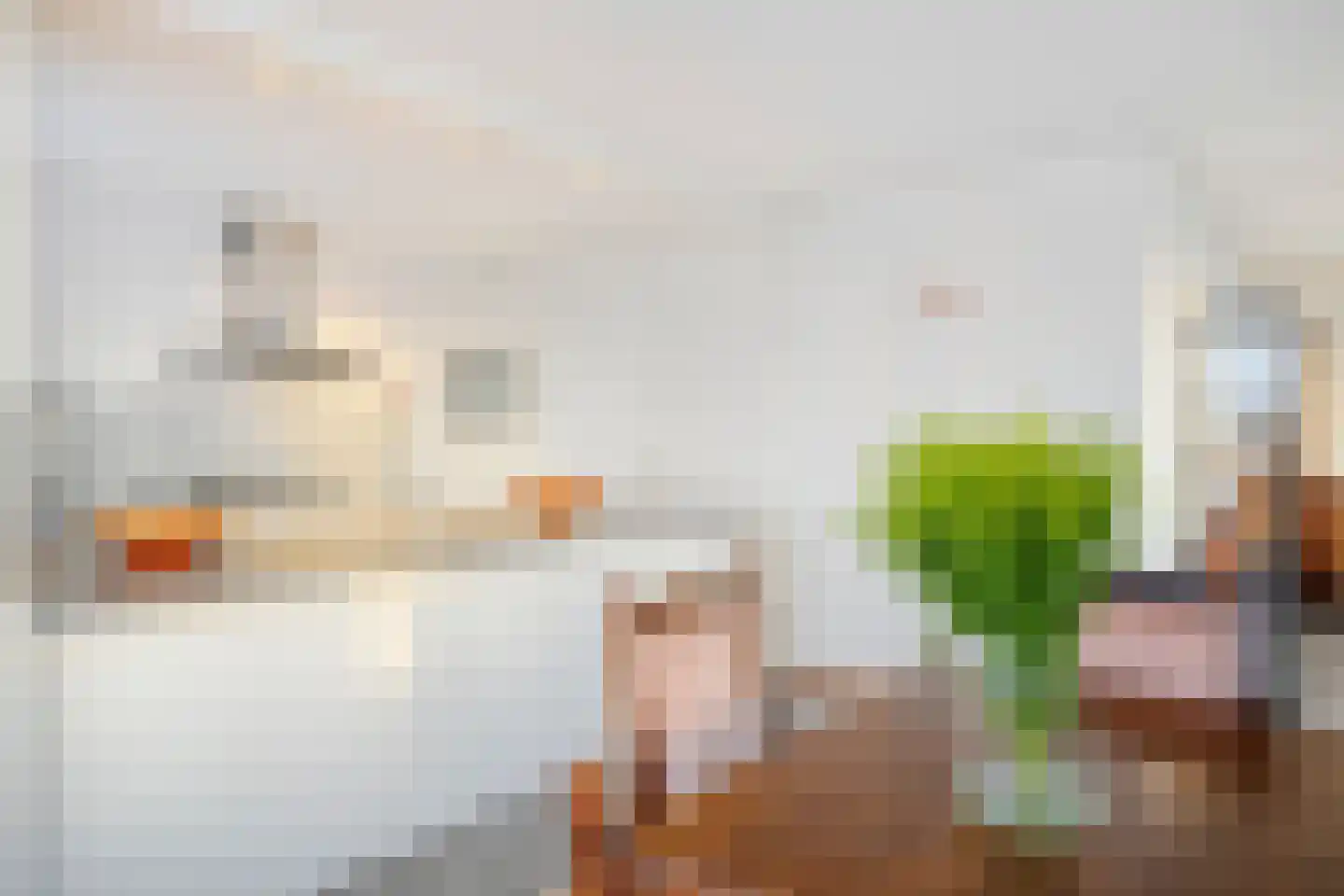 Joannes Antonides van der Goeskade 8 10 Goes thumbnail 11