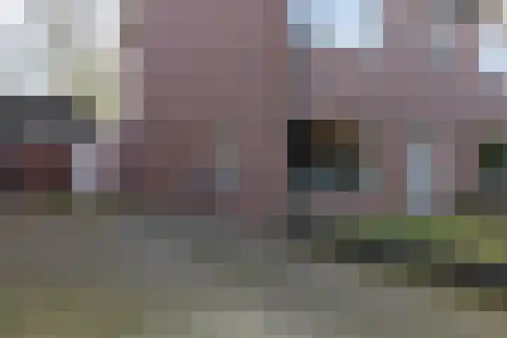 Joannes Brugmanstraat 8 Doetinchem thumbnail 19