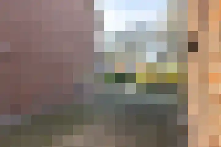 Joannes Brugmanstraat 8 Doetinchem thumbnail 41