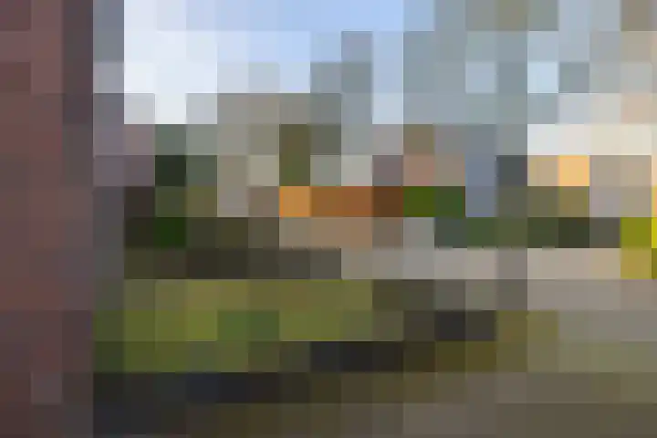 Joannes Brugmanstraat 8 Doetinchem thumbnail 42