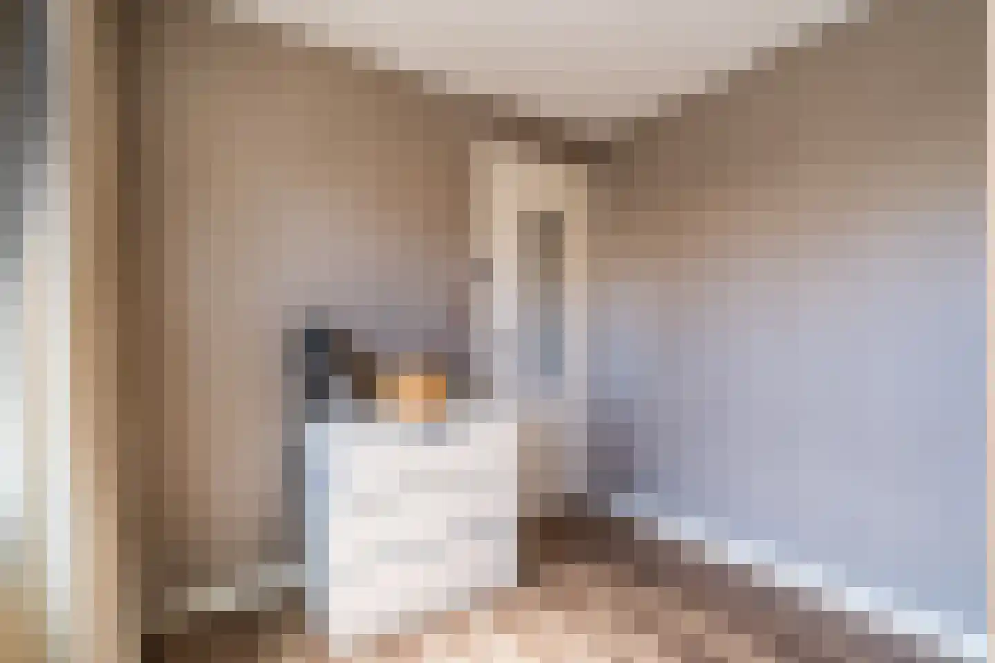 Joannes Knaepenstraat 1 Weert thumbnail 28