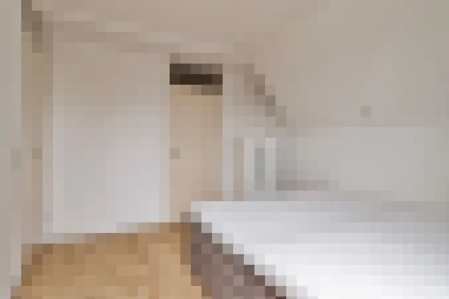 Joannes Lenartzstraat 12 B Oisterwijk thumbnail 22