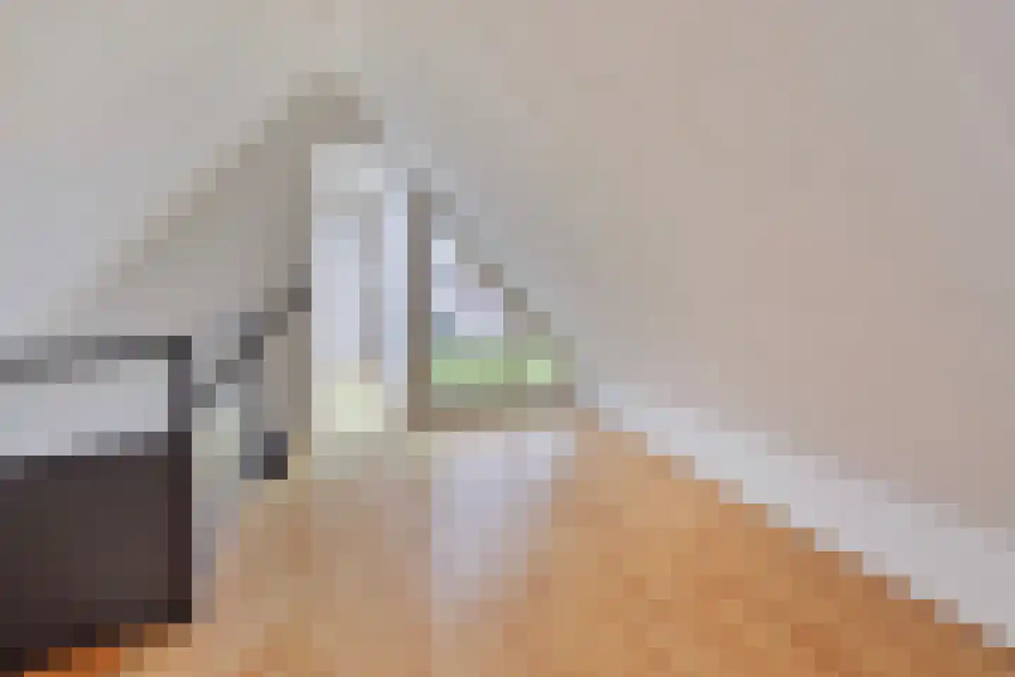 Joannes Lenartzstraat 12 B Oisterwijk thumbnail 30