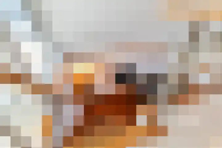 Joannes Lenartzstraat 14 B Oisterwijk thumbnail 32
