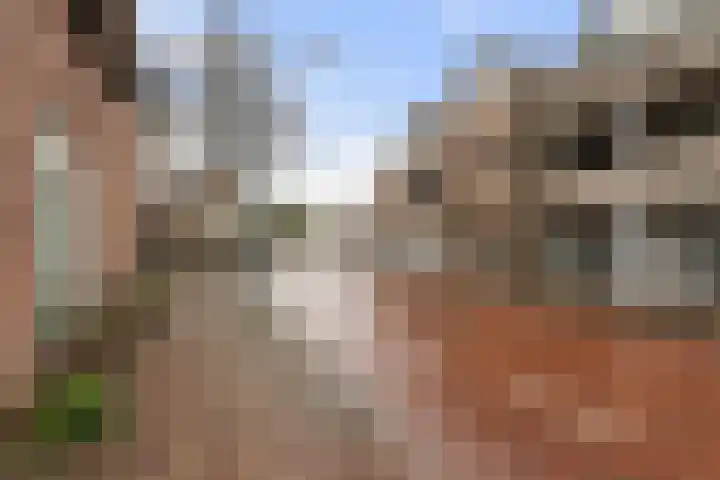Joannes Lenartzstraat 14 B Oisterwijk thumbnail 5