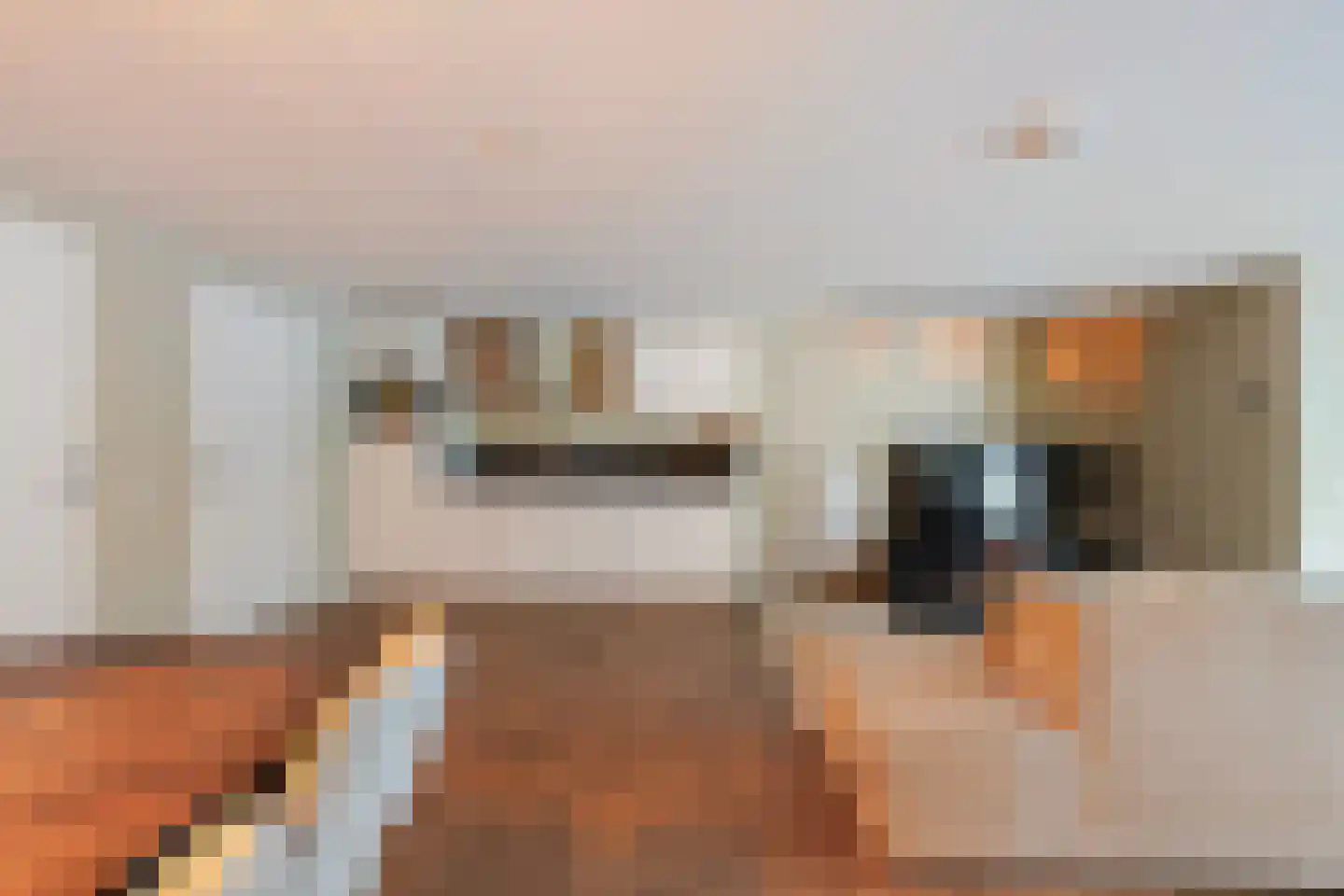 Joannes Lenartzstraat 16 Oisterwijk thumbnail 13