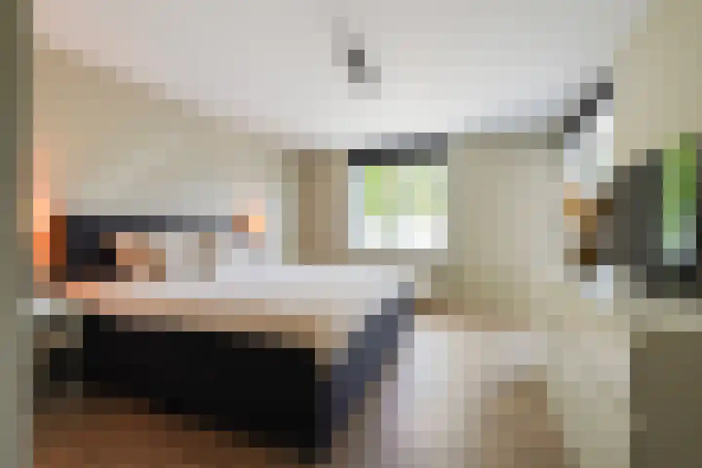 Joannes Lenartzstraat 16 Oisterwijk thumbnail 22