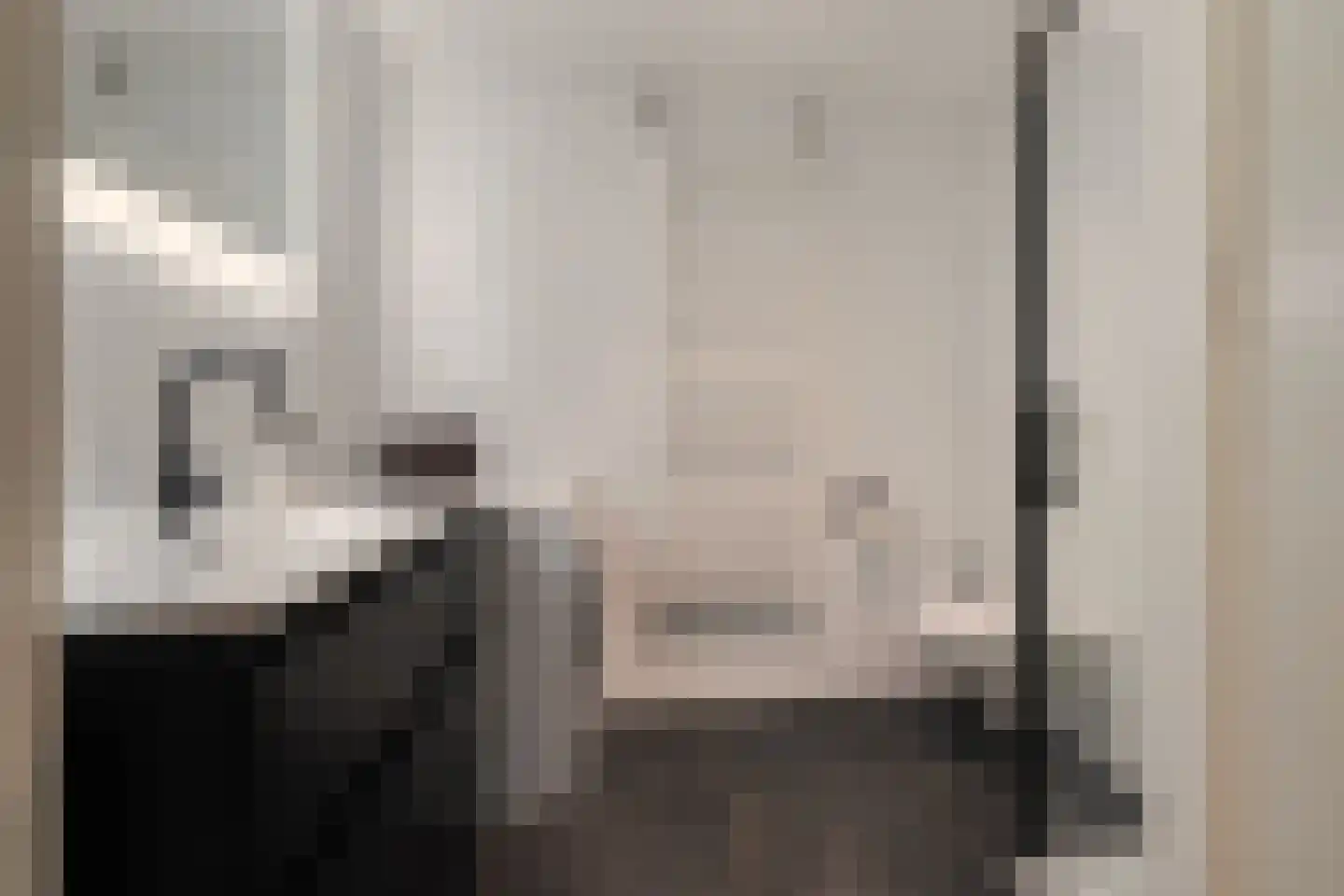 Joannes Lenartzstraat 16 Oisterwijk thumbnail 26