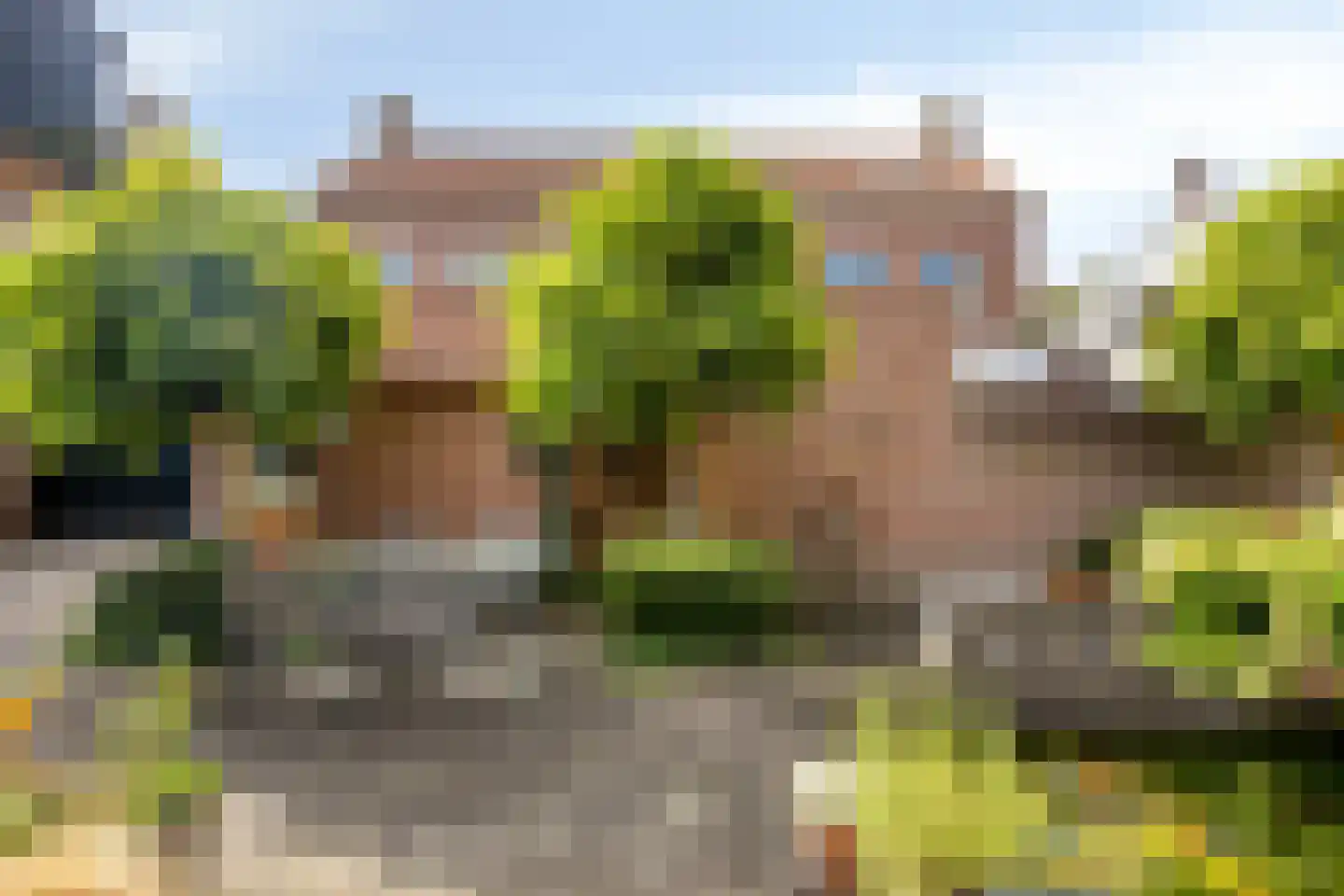 Joannes Lenartzstraat 30 Oisterwijk thumbnail 31