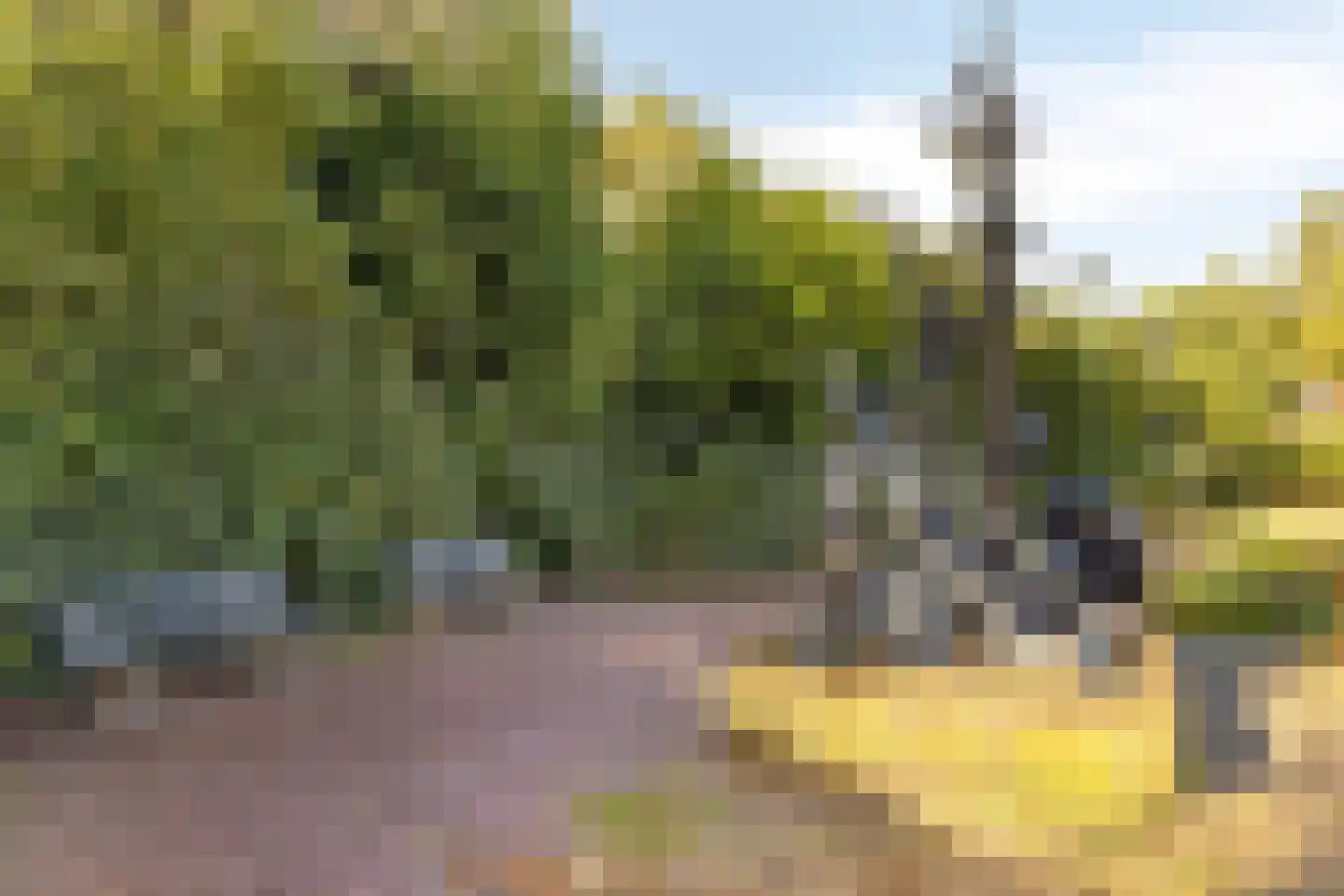Joannes Lenartzstraat 30 Oisterwijk thumbnail 36
