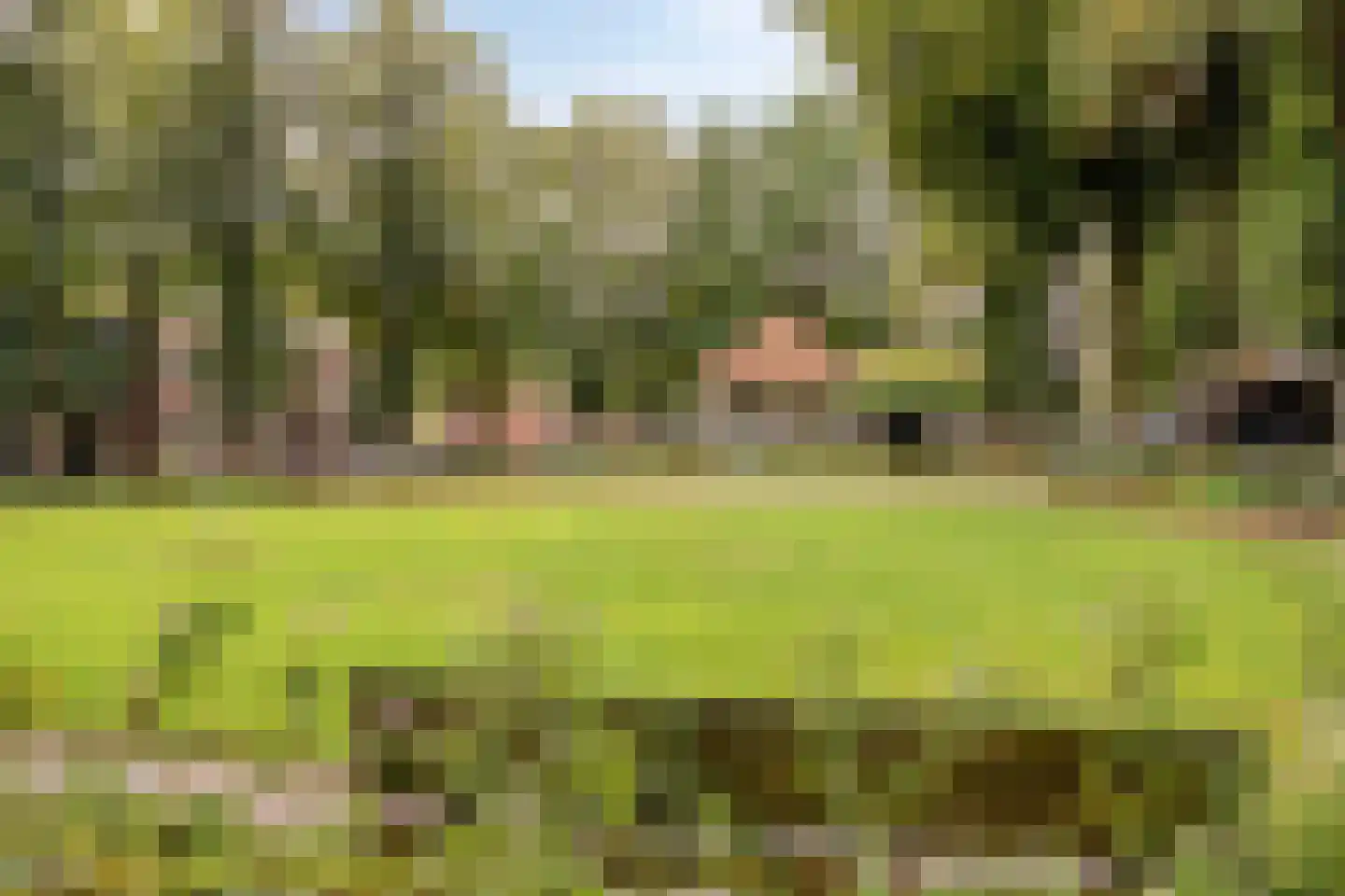 Joannes Lenartzstraat 30 Oisterwijk thumbnail 37