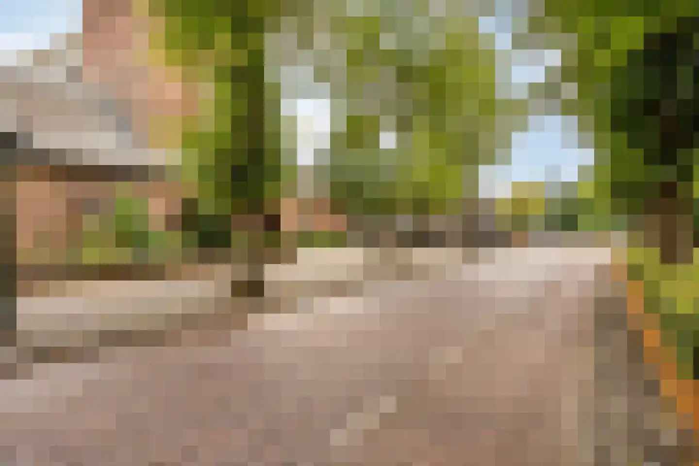 Joannes Lenartzstraat 30 Oisterwijk thumbnail 38