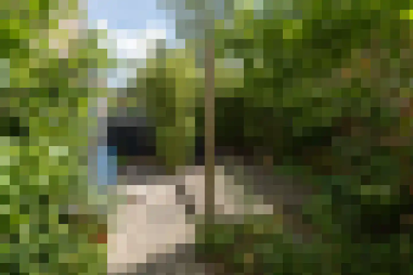 Joannes Tolliusstraat 32 Amersfoort thumbnail 65