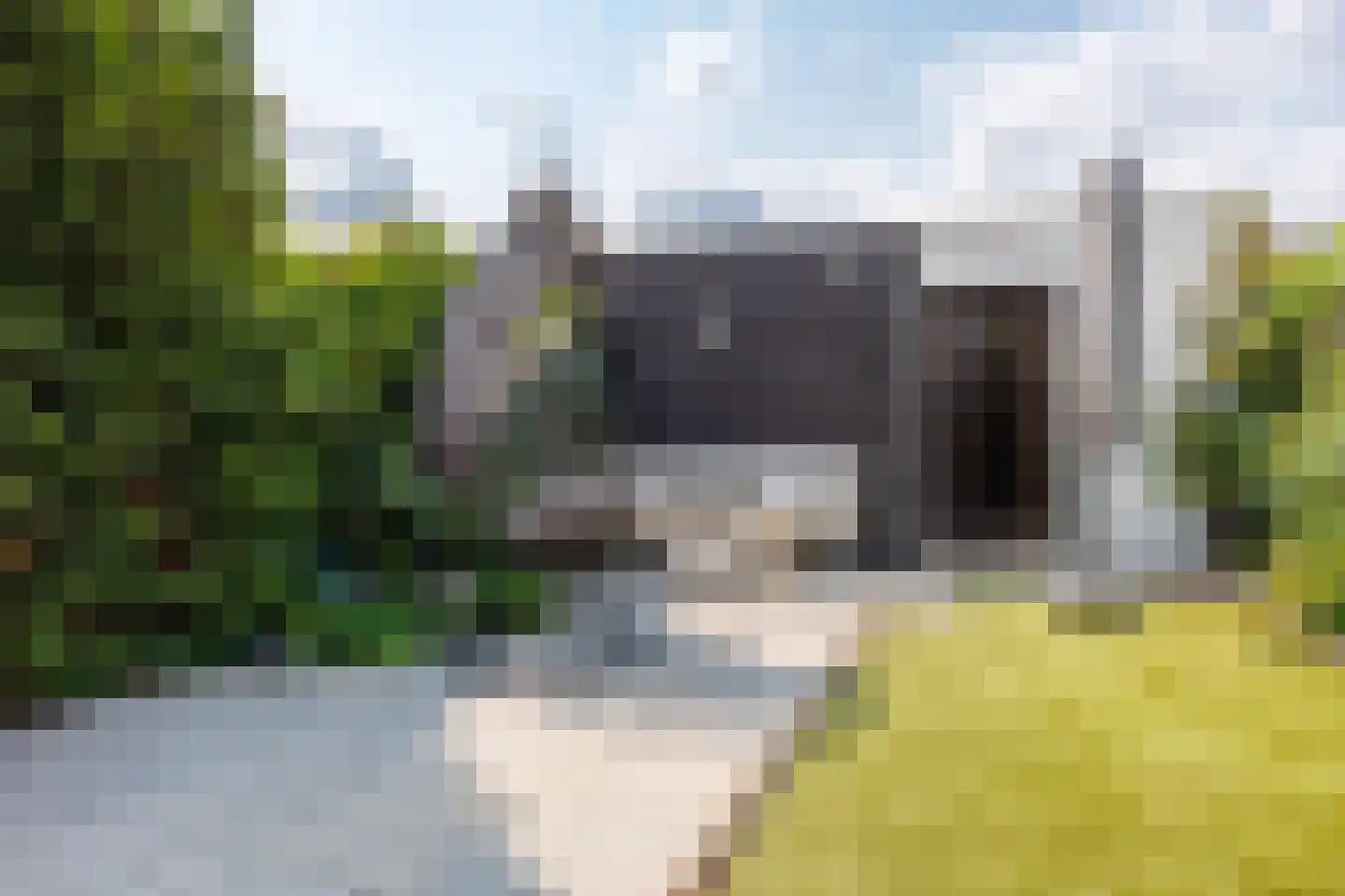Joannes van den Broekstraat 45 Heumen thumbnail 43