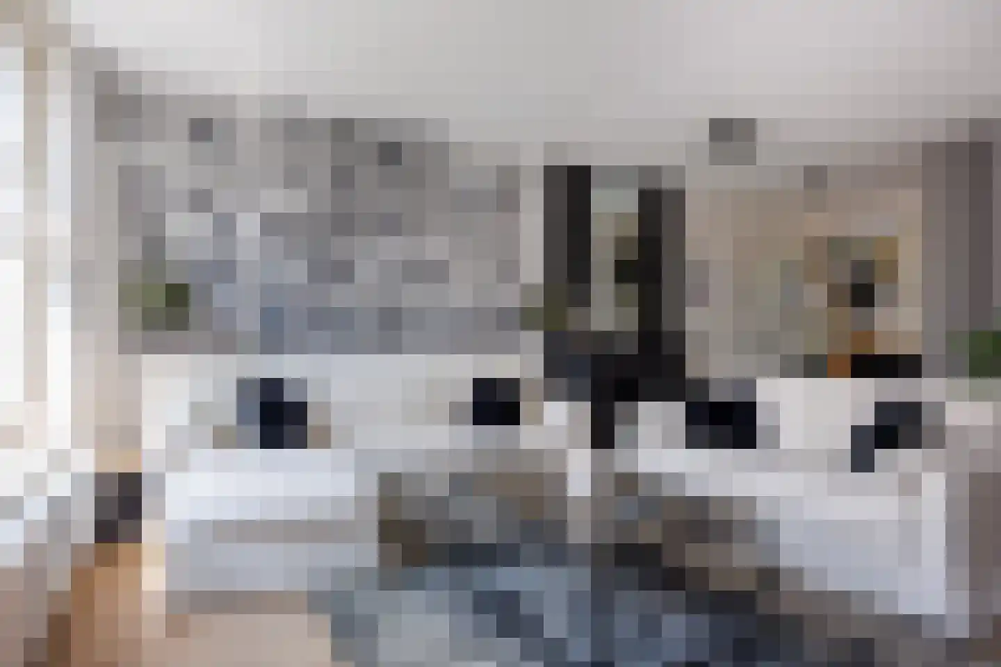 Joannes van den Broekstraat 45 Heumen thumbnail 8