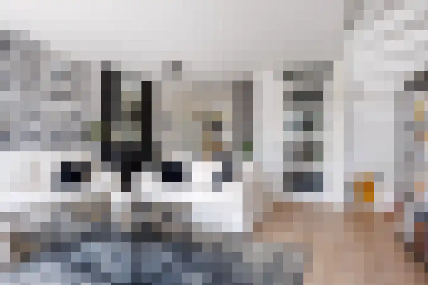 Joannes van den Broekstraat 45 Heumen thumbnail 9