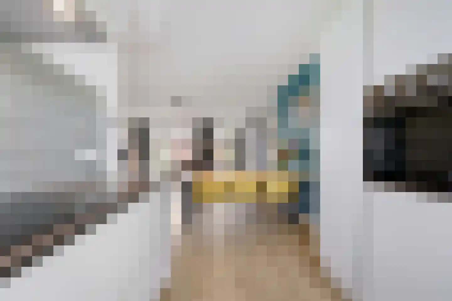Joannes van den Broekstraat 7 Heumen thumbnail 11