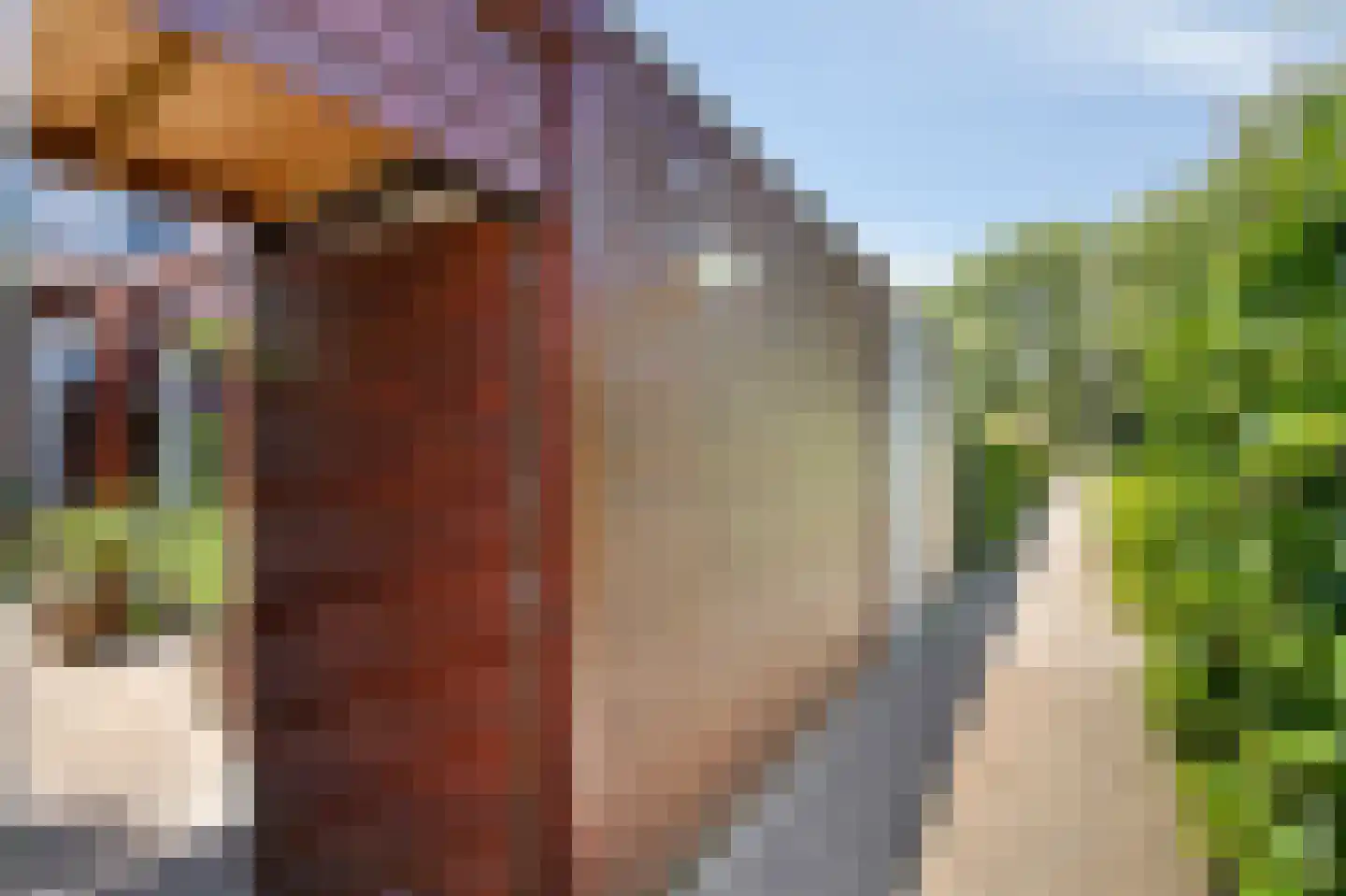 Joannes van den Broekstraat 7 Heumen thumbnail 39
