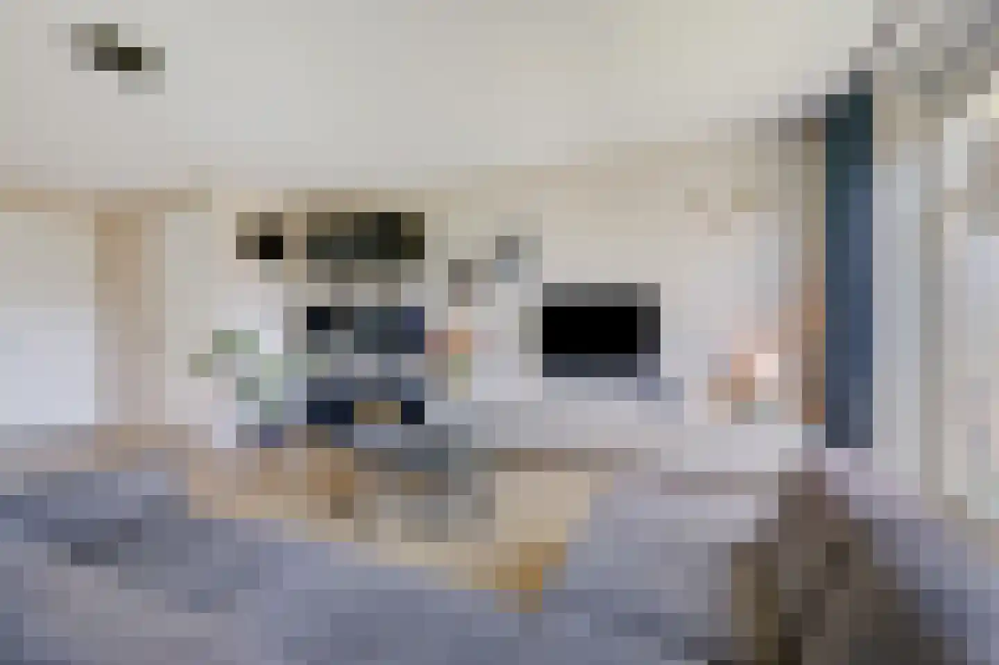Joannes van den Broekstraat 7 Heumen thumbnail 6