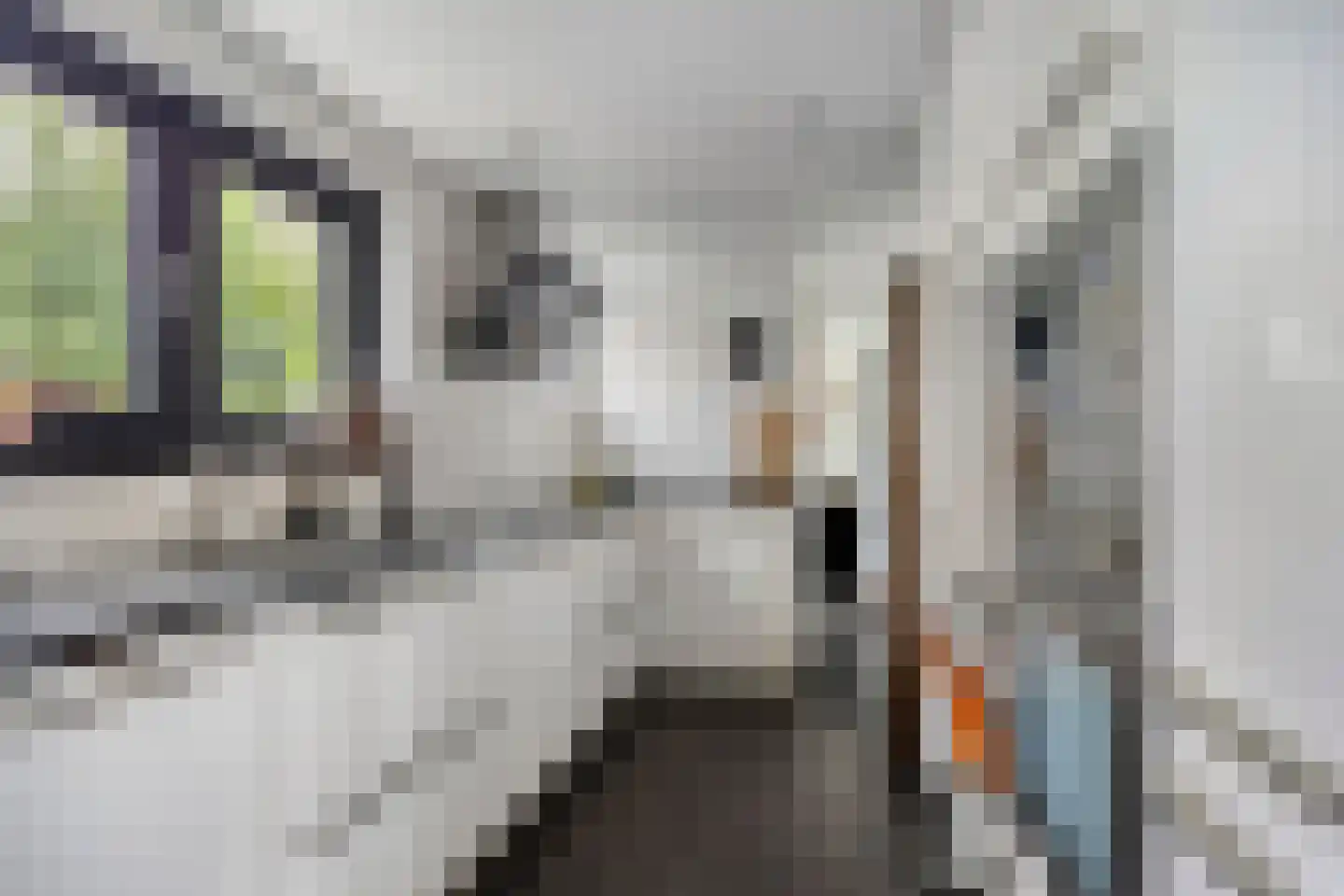 Joannes van Dieststraat 14 Amersfoort thumbnail 10