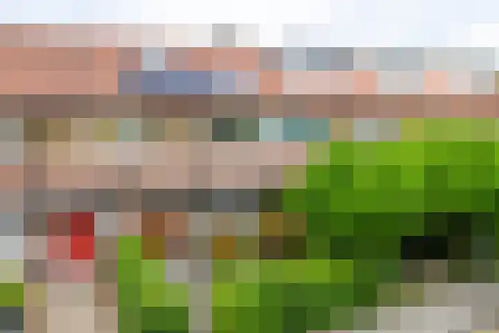 Joannes van Dieststraat 7 Amersfoort thumbnail 28