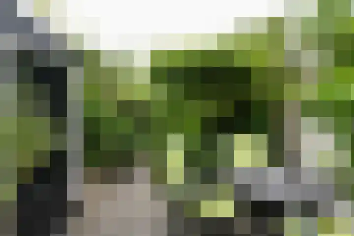 Joannes van Dieststraat 7 Amersfoort thumbnail 32
