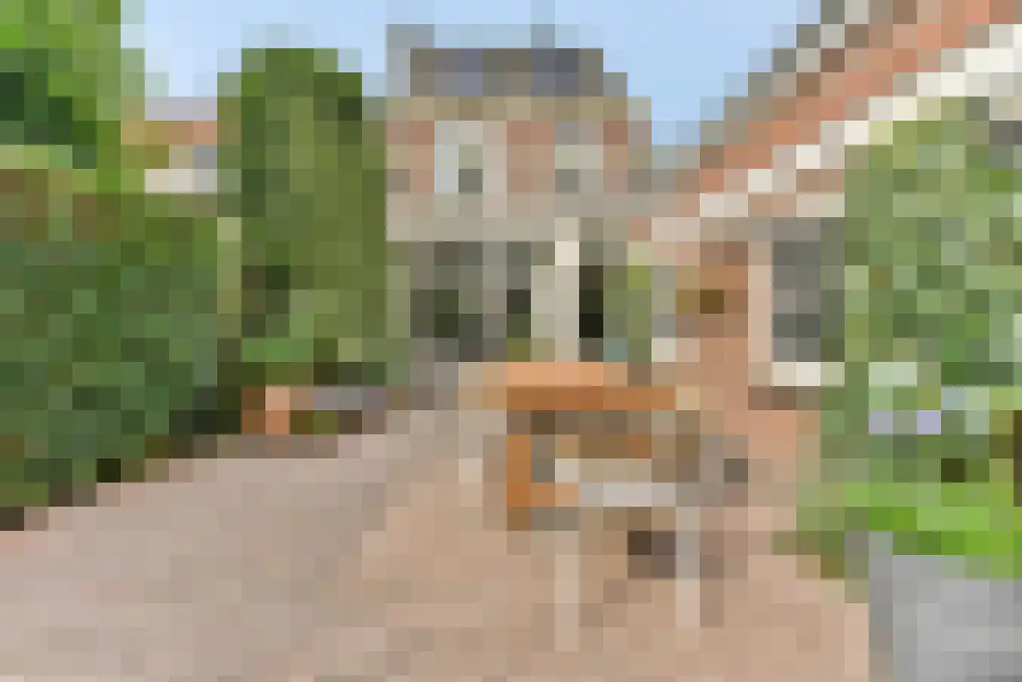 Joannes van Dieststraat 8 Amersfoort thumbnail 10