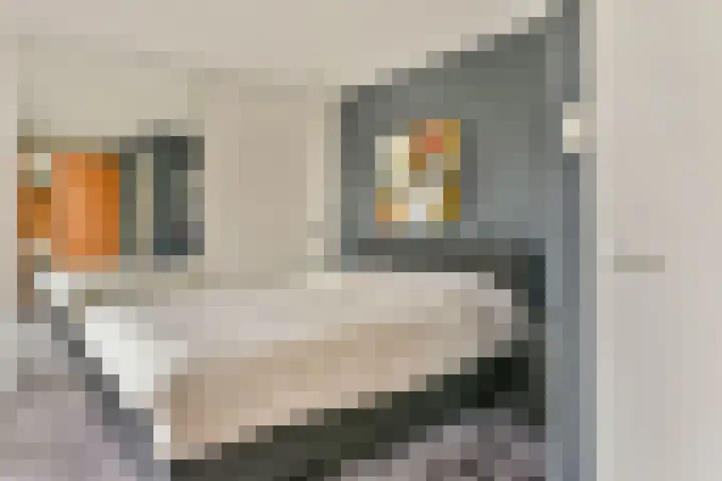 Joannes van Dieststraat 8 Amersfoort thumbnail 28