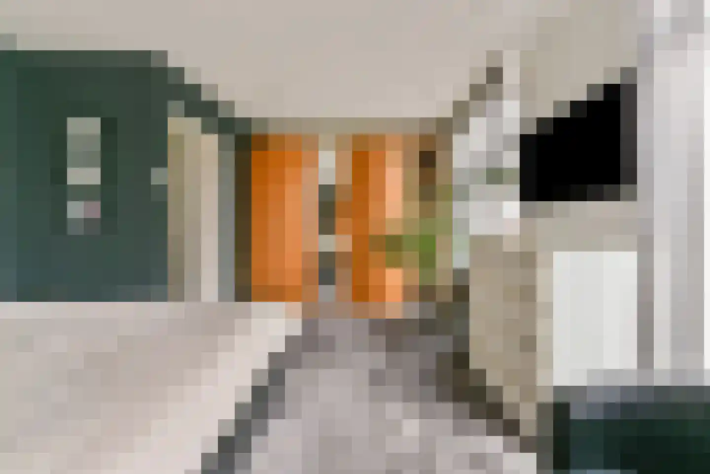 Joannes van Dieststraat 8 Amersfoort thumbnail 30
