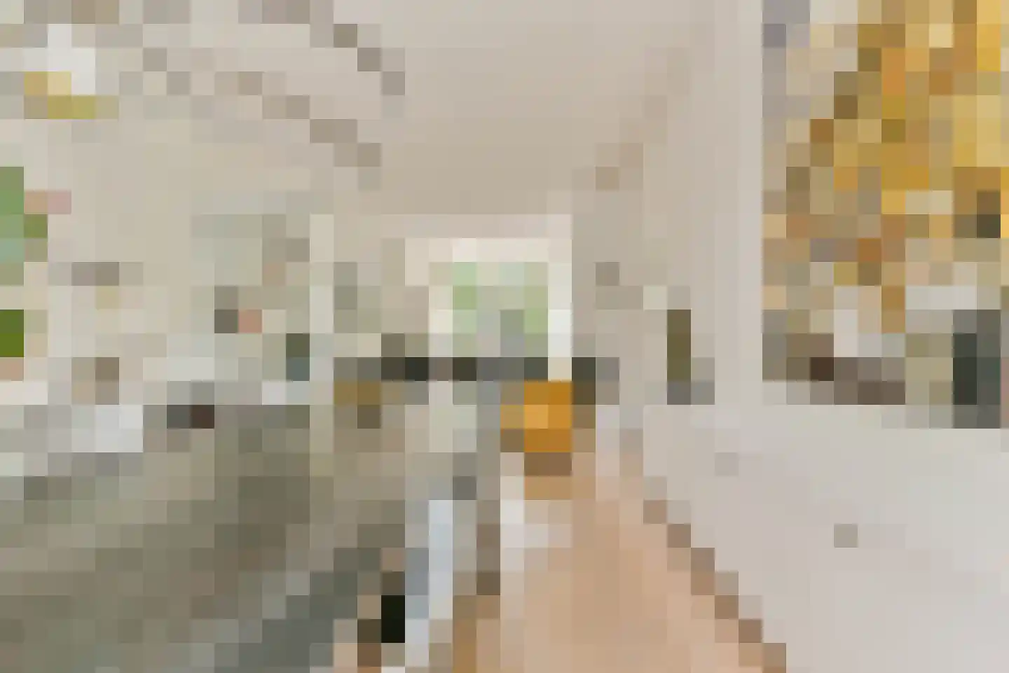 Joannes van Dieststraat 8 Amersfoort thumbnail 7
