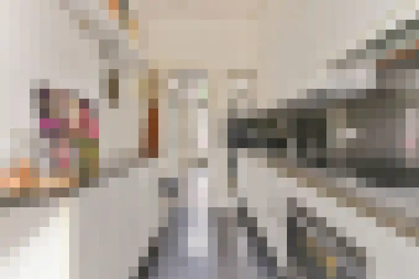 Joannes van Dieststraat 8 Amersfoort thumbnail 8