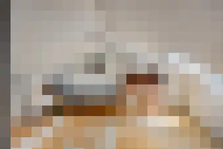 Joannes XXIII-straat 8 Berlicum thumbnail 20