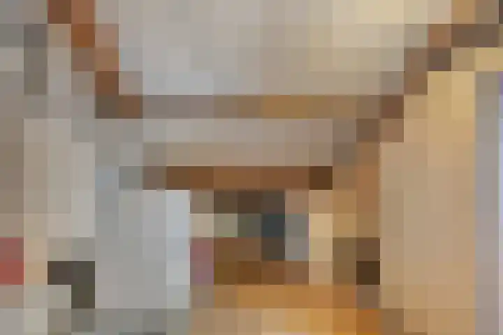 Joannes XXIII-straat 8 Berlicum thumbnail 21