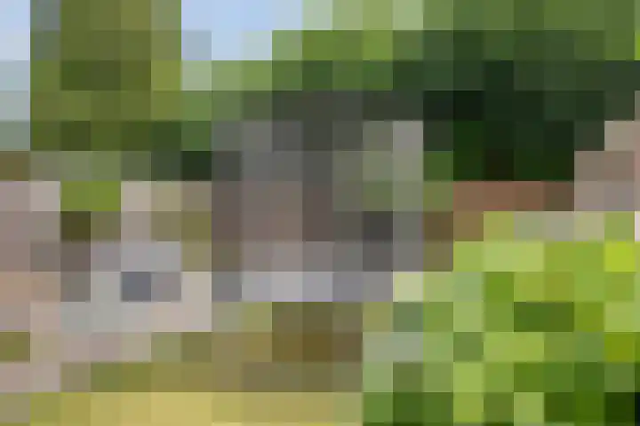 Joannes XXIII-straat 8 Berlicum thumbnail 24