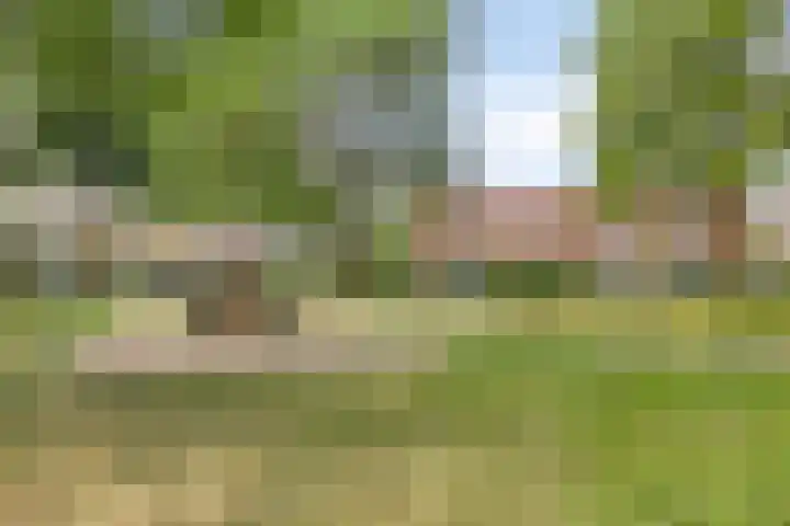 Joannes XXIII-straat 8 Berlicum thumbnail 29