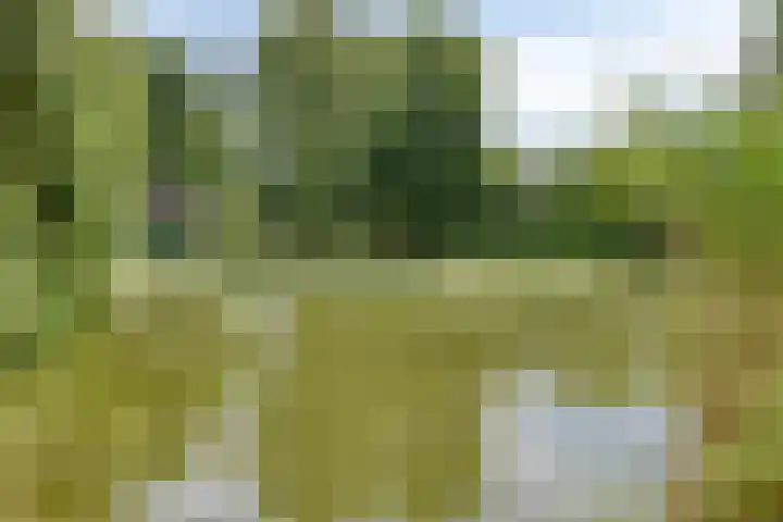 Joannes XXIII-straat 8 Berlicum thumbnail 30