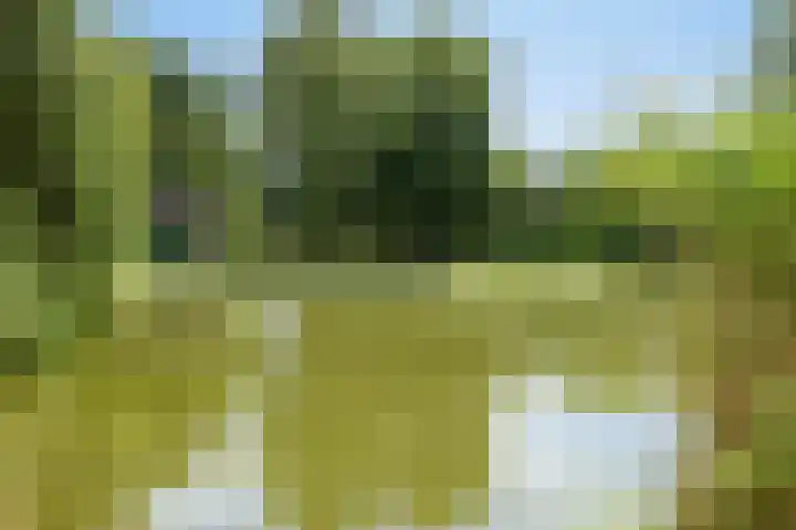 Joannes XXIII-straat 8 Berlicum thumbnail 31