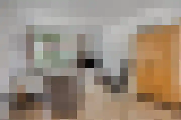 Joannes XXIII-straat 8 Berlicum thumbnail 8