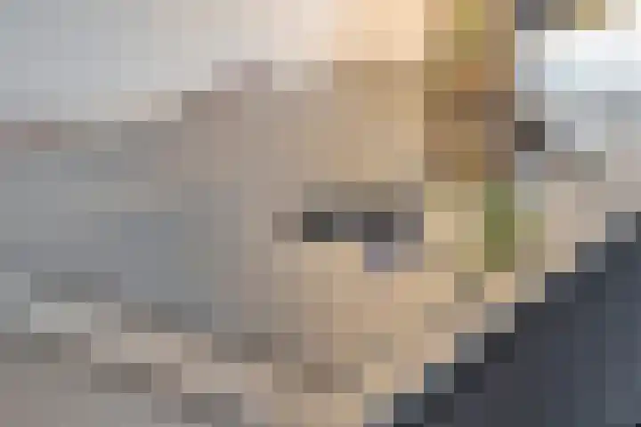 Joannes Zwijsenlaan 16 Oss thumbnail 10