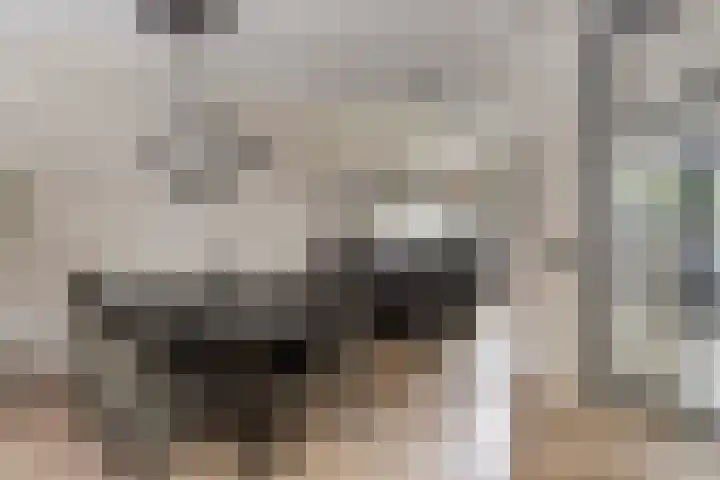 Joannes Zwijsenlaan 16 Oss thumbnail 12
