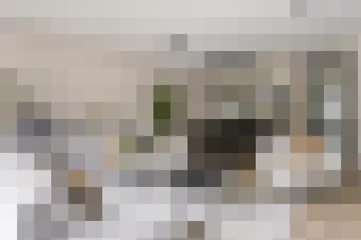 Joannes Zwijsenlaan 16 Oss thumbnail 15