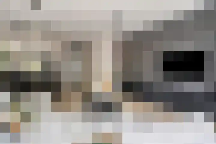 Joannes Zwijsenlaan 16 Oss thumbnail 16