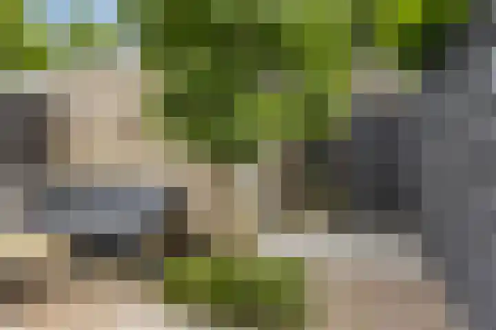 Joannes Zwijsenlaan 16 Oss thumbnail 19
