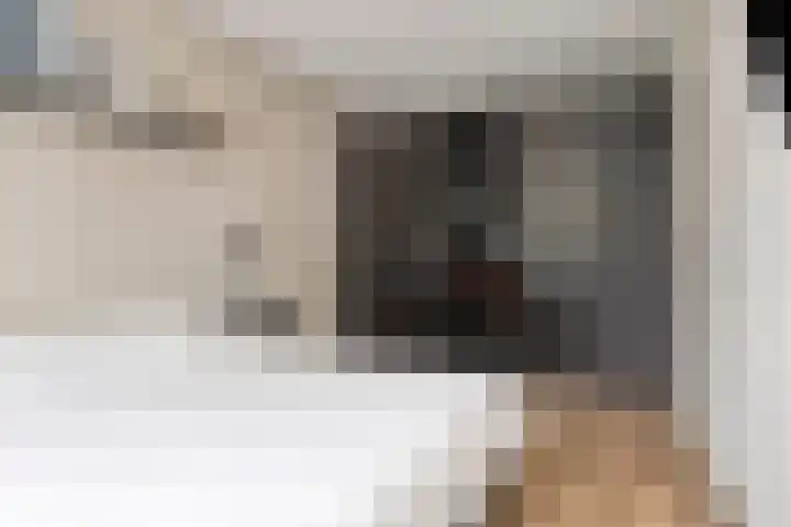 Joannes Zwijsenlaan 16 Oss thumbnail 22
